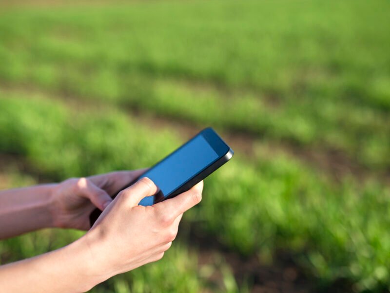 Central Studio Agro Ingenery